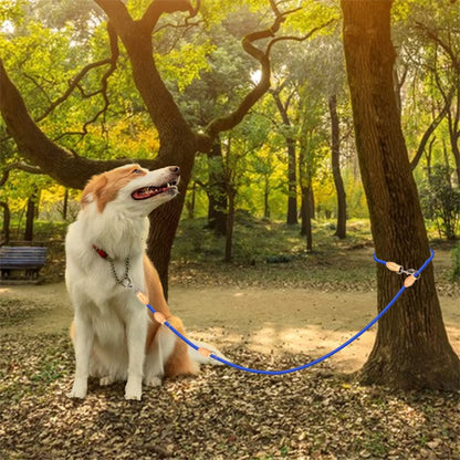 Laisse double pour chien | DuoControl