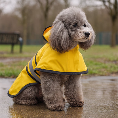 Manteau pour chien |Azur Fripon