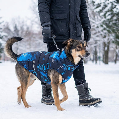 Manteaux pour  chien | Douce Aventure