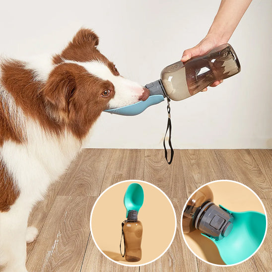 Gourde pour chien portable et étanche | Chien Valet
