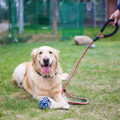 Laisse pour chien - SécuriConfort