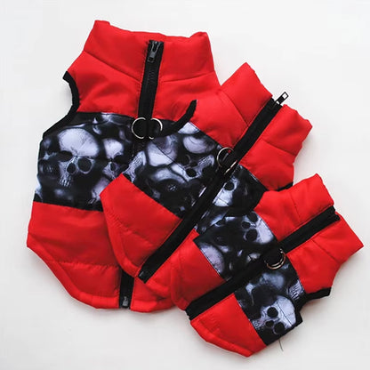 Chien manteau|  Picotou