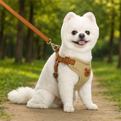 Harnais pour Petit Chien : confort et sécurité au quotidien