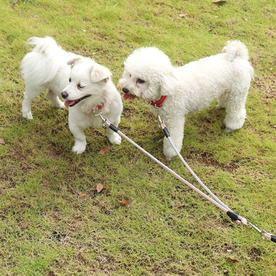 Laisse double pour chien | Confort Control