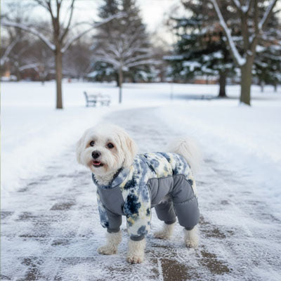 Manteau pour petit Chien | NordCanin