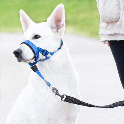 Muselière chien | Fripouille