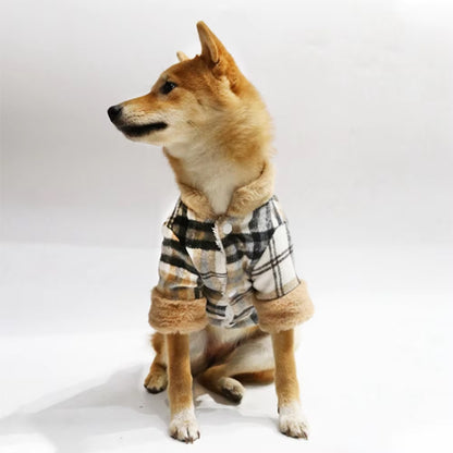 Manteau pour chien | écossais chaud hiver