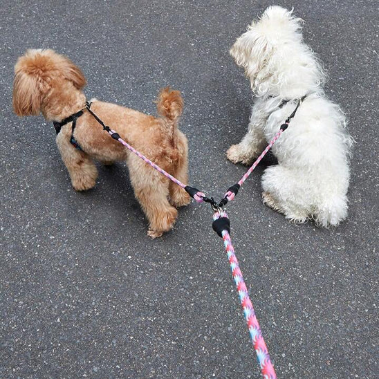 Laisse double pour chien | Confort Control