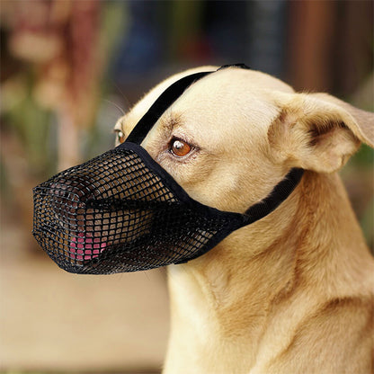 MUSELIERE CHIEN |TOUTOUCOOL
