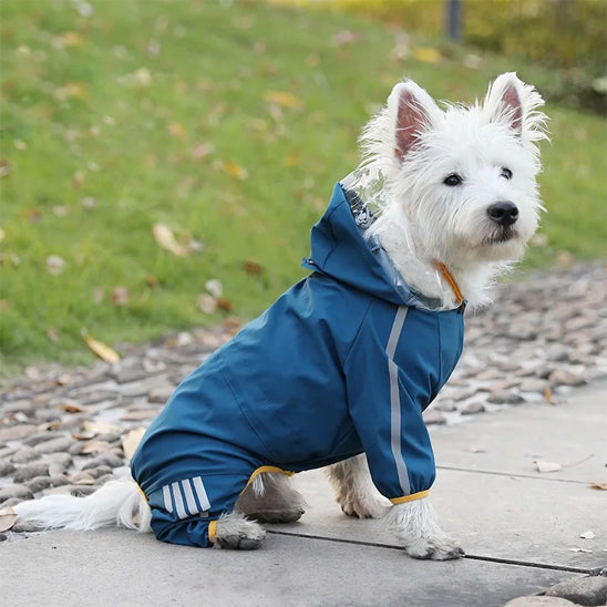 Manteau pour chien Imperméable|Coquin D'O
