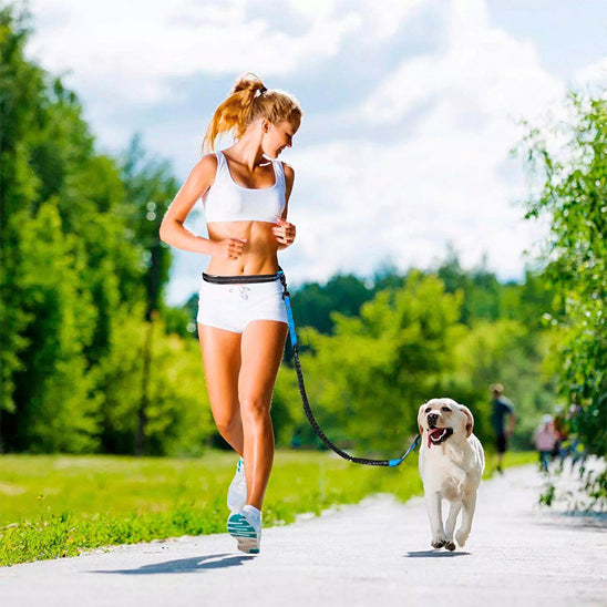 Laisse chien main libre - Confort Pro