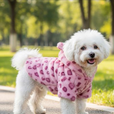 Manteau pour chien|Winter Pro