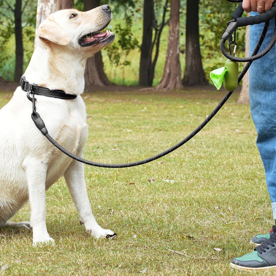 Laisse pour chien - SécuriConfort