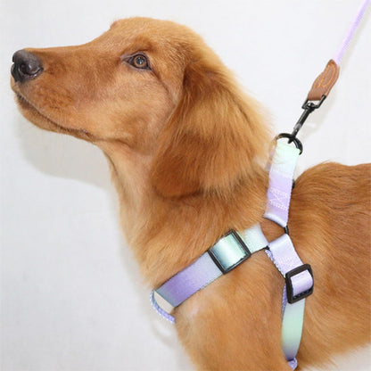 Harnais pour chien pastel avec laisse assortie
