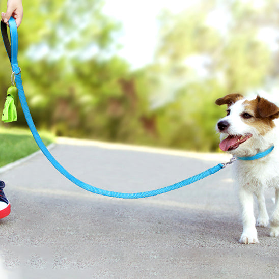 Laisse pour chien | Robuste