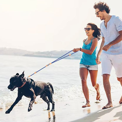 Laisse double pour chien | DuoControl