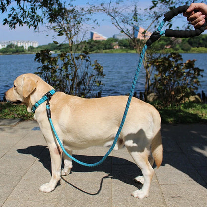 Laisse pour chien - SécuriConfort
