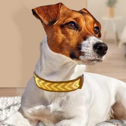 Collier lumineux led pour chien | Securite Nocturne