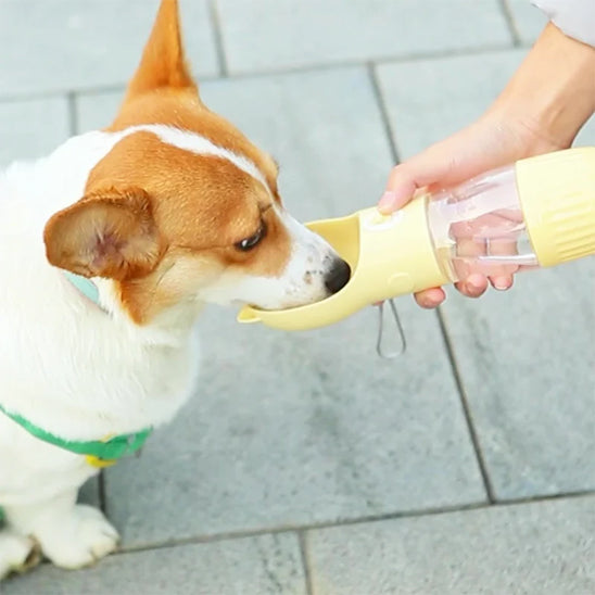 Gourde pour chien | GlouGlou