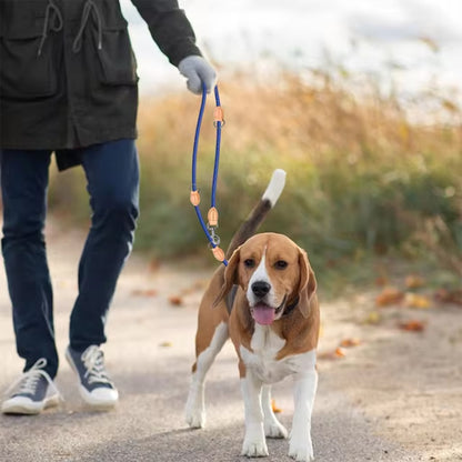 Laisse double pour chien | DuoControl