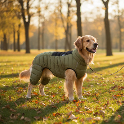 Manteau pour Chien | Hiver de soie