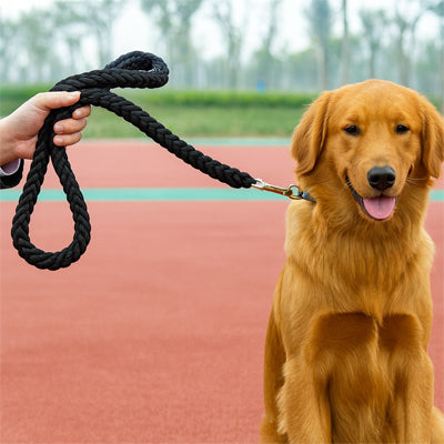 Laisse pour Chien - Robuste & tresse