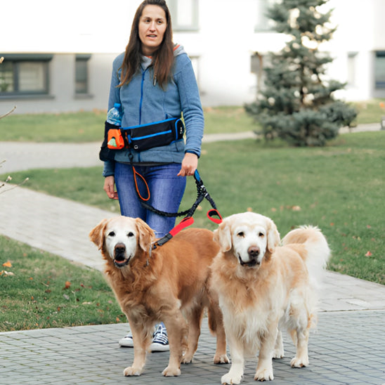 Double laisse pour chien | Ultra-Résistante