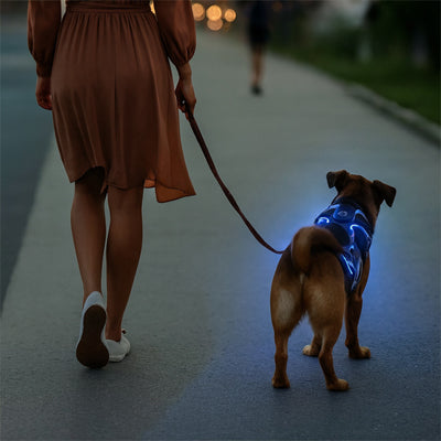 Harnais lumineux pour chien led | Sécurité nocturne