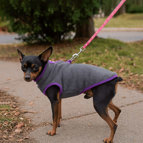 Manteau pour chien | Mini Douillet