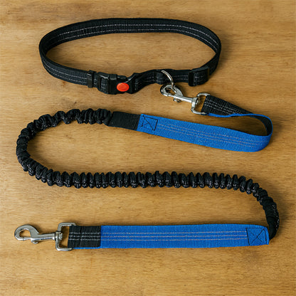 Laisse chien main libre - Confort Pro