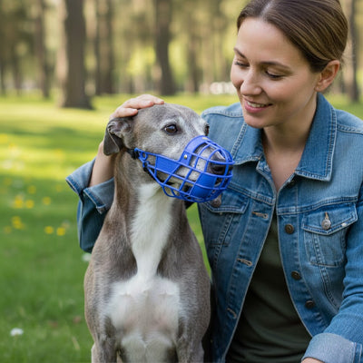 Museliere pour chien | Diablo