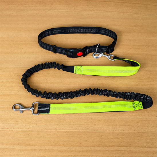 Laisse chien main libre - Confort Pro