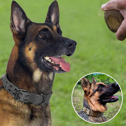 Collier tactique pour chien robuste et confortable | Tactik Comfort