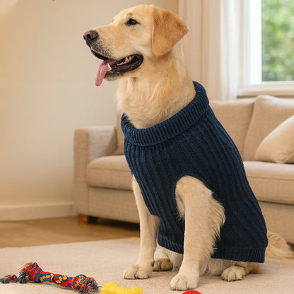 Pull pour chien | Plume chic