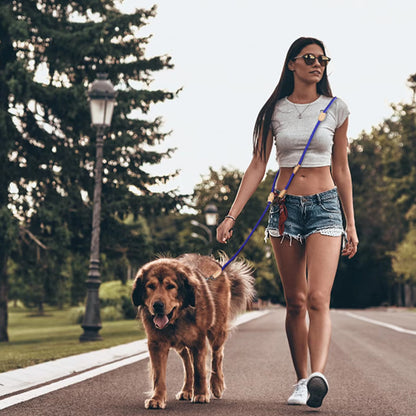 Laisse double pour chien | DuoControl