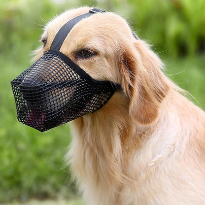 MUSELIERE CHIEN |TOUTOUCOOL