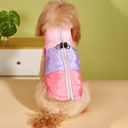 Chien manteau|  Picotou