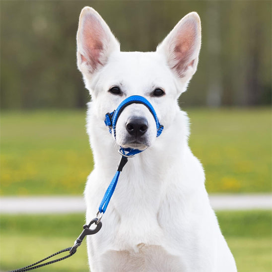 Muselière chien | Fripouille