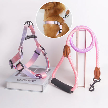 Harnais pour chien pastel avec laisse assortie