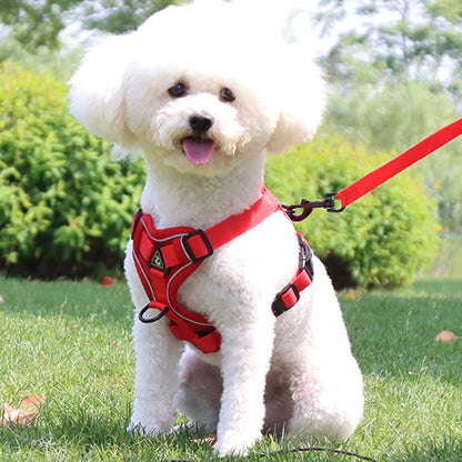 Harnais pour chien - Nuit douce