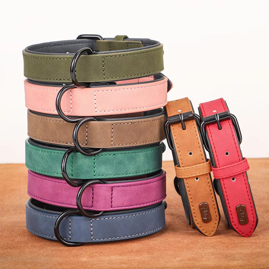 Collier en cuir pour chien | Raffiné, confortable et résistant