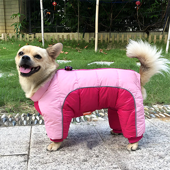 Manteau pour chien | PolarProtect