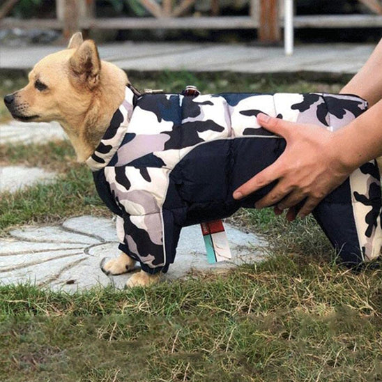 Manteau pour chien | PolarProtect