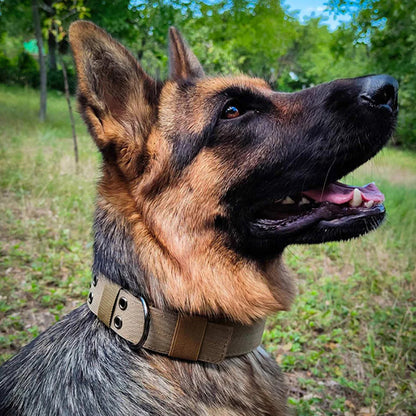 Collier tactique pour chien robuste et confortable | Tactik Comfort