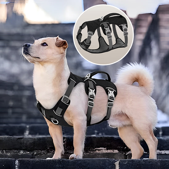 Harnais pour chien confortable et anti-traction | Complice