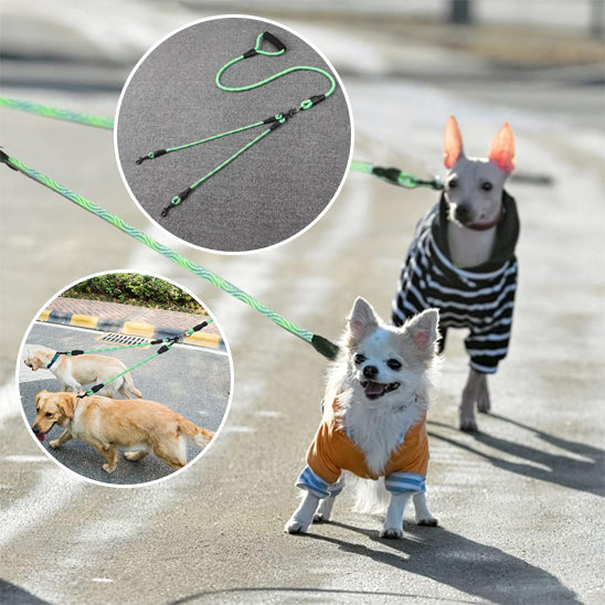Laisse double pour chien | Confort Control