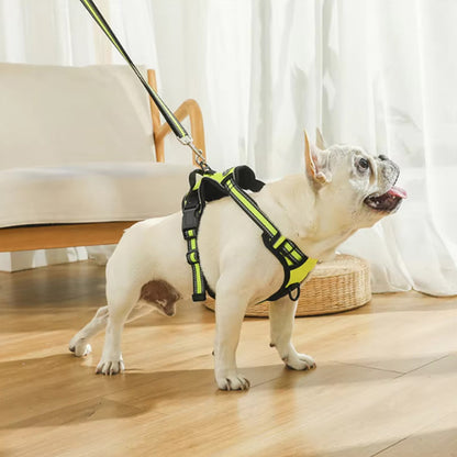 Harnais pour chien | Coeur d'Or