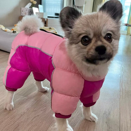 Manteau pour chien | PolarProtect