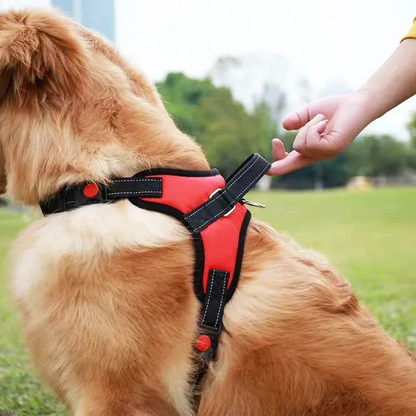 Harnais anti-traction pour petit chien – Confort sans étouffement
