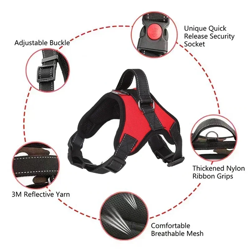 Harnais anti-traction pour petit chien – Confort sans étouffement